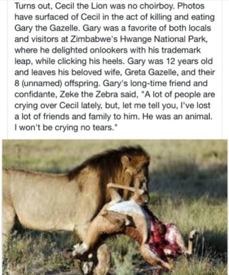 Gary-Gazelle-copy